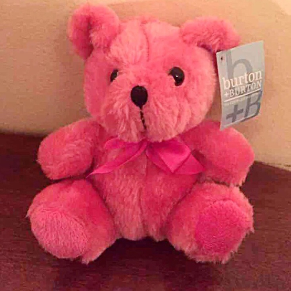 ❤️Colorful Plush Bears (Pink)❤️